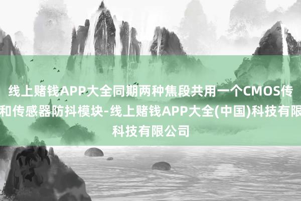 线上赌钱APP大全同期两种焦段共用一个CMOS传感器和传感器防抖模块-线上赌钱APP大全(中国)科技有限公司